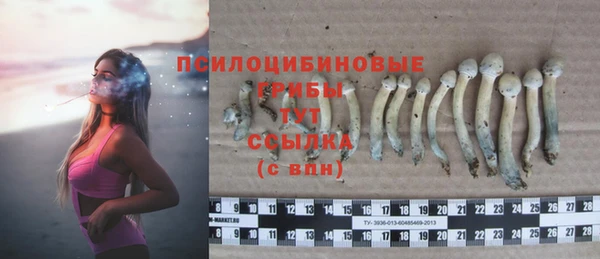 дмт Покровск