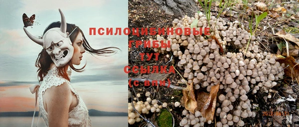 спиды Гатчина