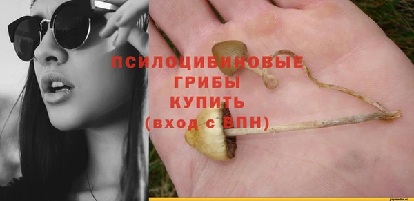 спайс Осташков