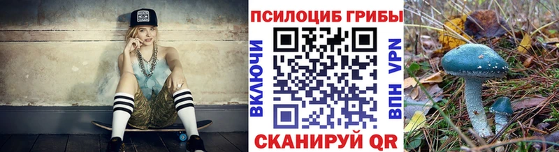 Купить где  Касимов  Псилоцибиновые грибы Psilocybe 